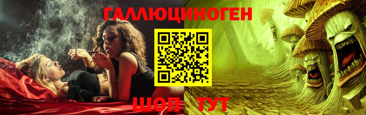 Псилоцибиновые грибы Psilocybine cubensis  купить закладку  Заводоуковск  Вход с VPN  Псилоцибиновые грибы Psilocybine cubensis 